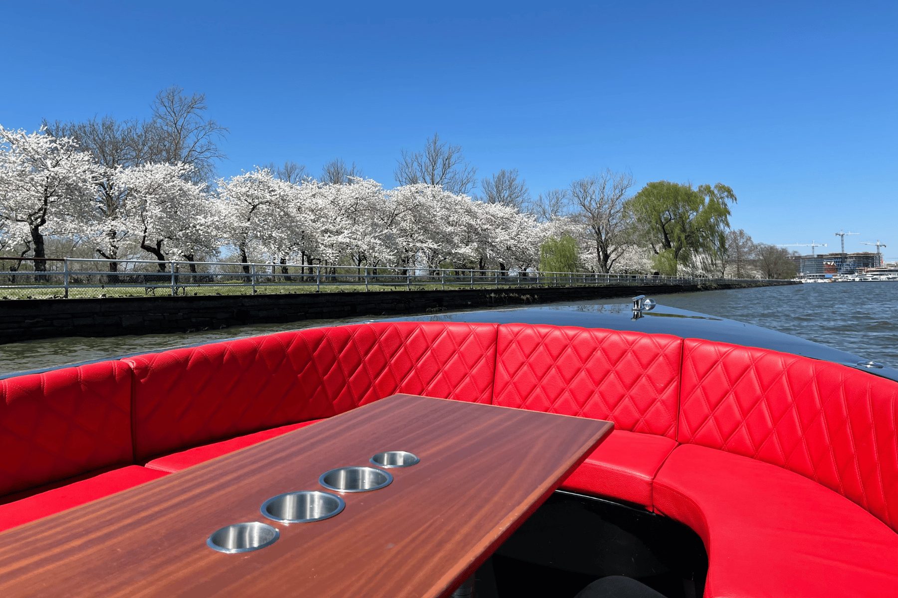 Cherry blossoms in full bloom along the water, viewed from the red-leather deck of a Yachtsy boat in DC